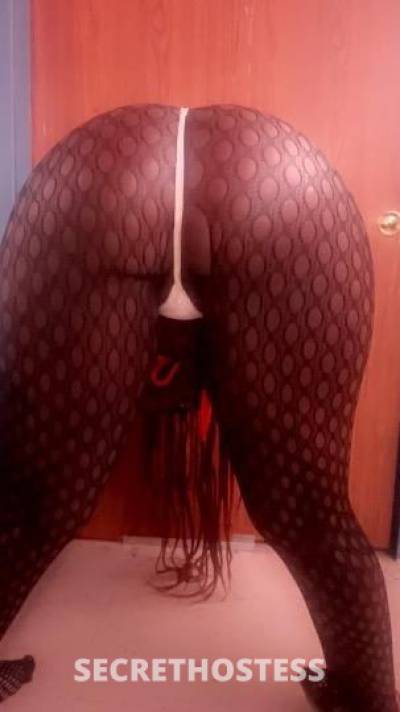 24Yrs Old Escort Queens NY Image - 2