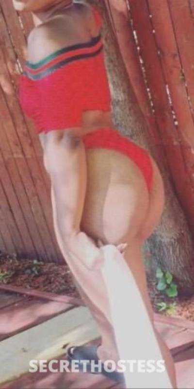 27Yrs Old Escort North Jersey NJ Image - 3