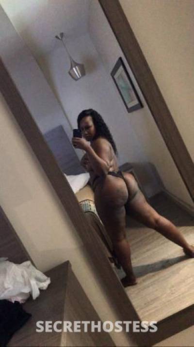 Ariel 26Yrs Old Escort Houston TX Image - 3