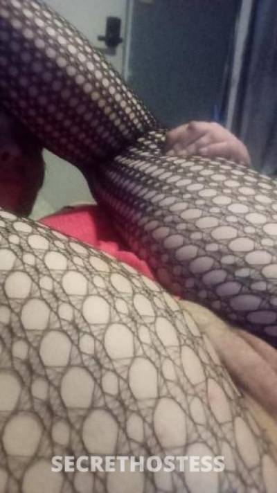 BIGBOOTYJUDY 32Yrs Old Escort Rochester NY Image - 1