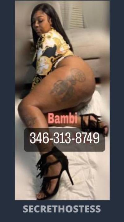 Bambi 24Yrs Old Escort Houston TX Image - 0