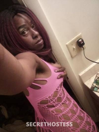 BeebeeSatiCfy 29Yrs Old Escort Saint Louis MO Image - 1