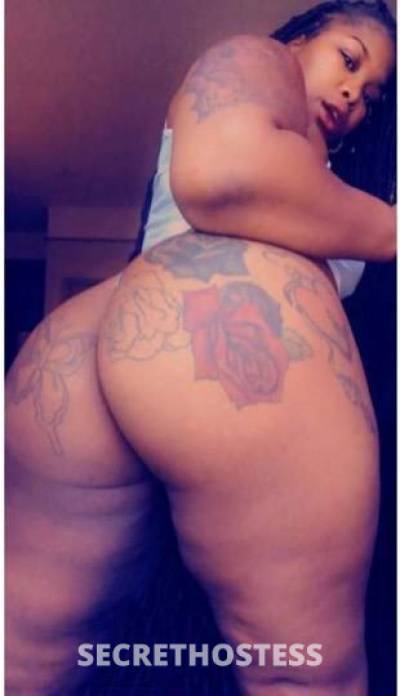 China 27Yrs Old Escort Norfolk VA Image - 1