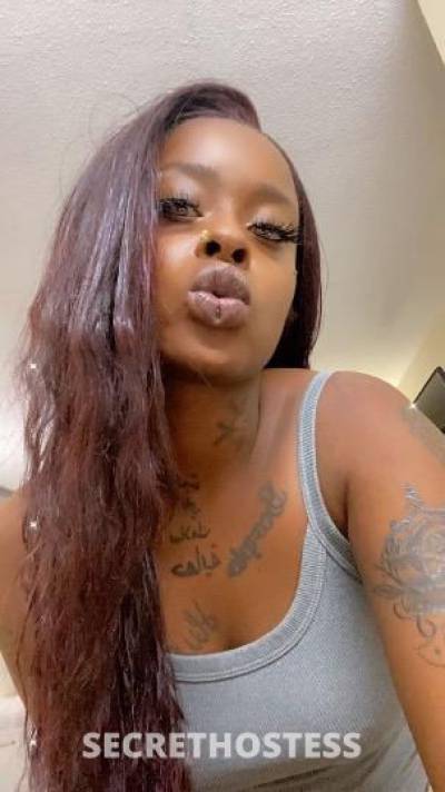 Kashh🌹 24Yrs Old Escort Clarksville TN Image - 2