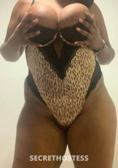 Kay 22Yrs Old Escort Rochester NY Image - 1