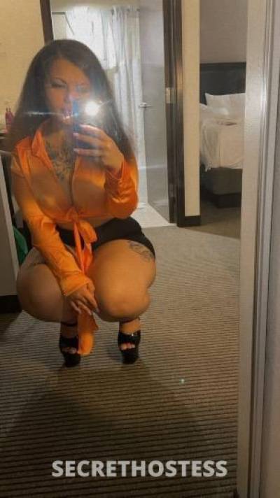 Paris 22Yrs Old Escort Central Jersey NJ Image - 9