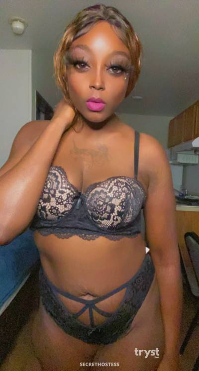 Queen 20Yrs Old Escort Size 8 161CM Tall Houston TX Image - 5