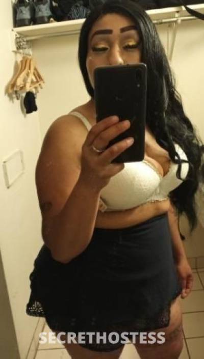 STAR 28Yrs Old Escort Seattle WA Image - 2