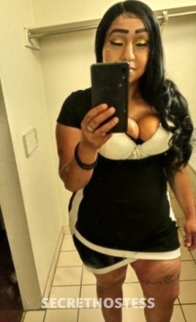 STAR 28Yrs Old Escort Seattle WA Image - 5