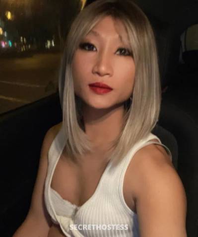 DARWIN ladyboy sophie asian CD hot and fun friendly in Darwin