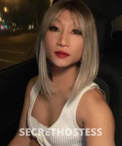 Sophie 26Yrs Old Escort Darwin Image - 8