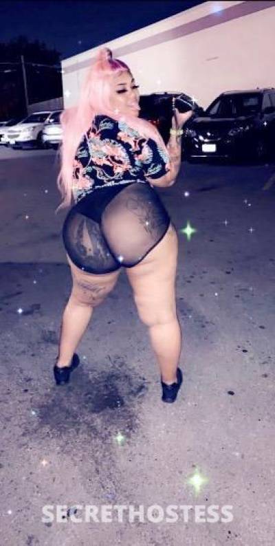 desire 26Yrs Old Escort Charlotte NC Image - 1