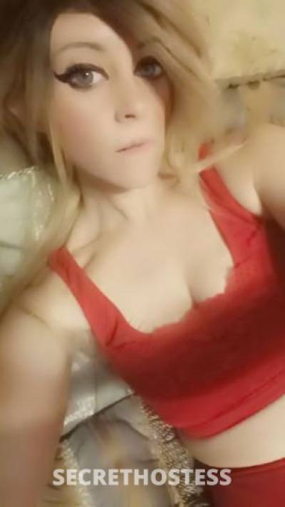 28Yrs Old Escort Chicago IL Image - 2