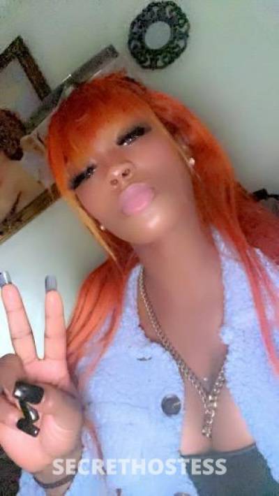 25 year old Escort in Cape Cod MA bey guy let hangout