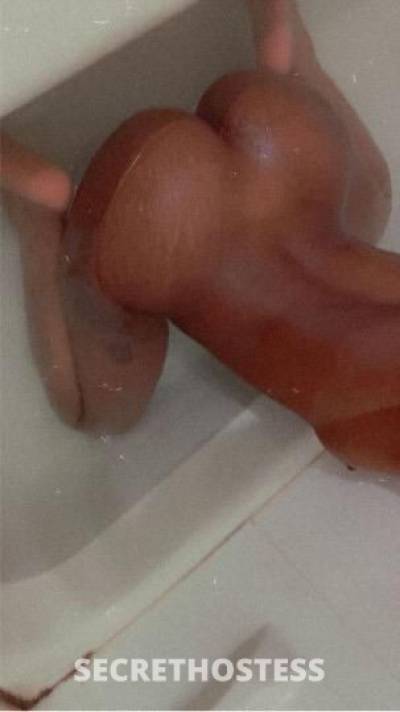 Autumn 22Yrs Old Escort Buffalo NY Image - 1