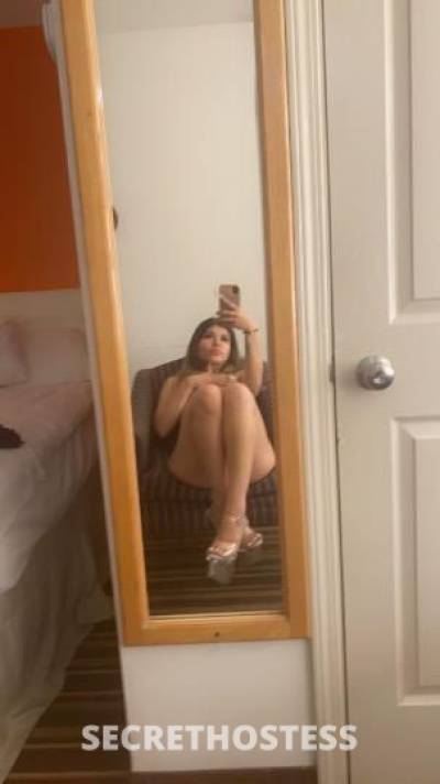 Cece 22Yrs Old Escort Monterey CA Image - 0