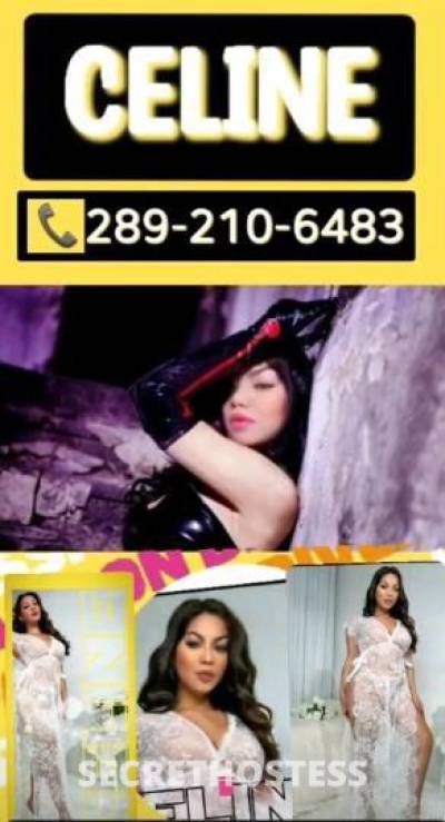 29 Year Old Asian Escort Hamilton - Image 9