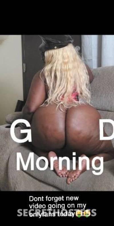 Chocolate 32Yrs Old Escort Albany GA Image - 2