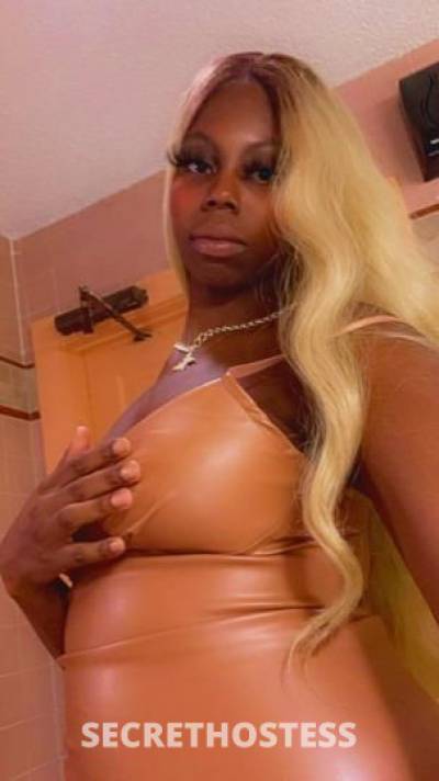 Coco 23Yrs Old Escort Birmingham AL Image - 0