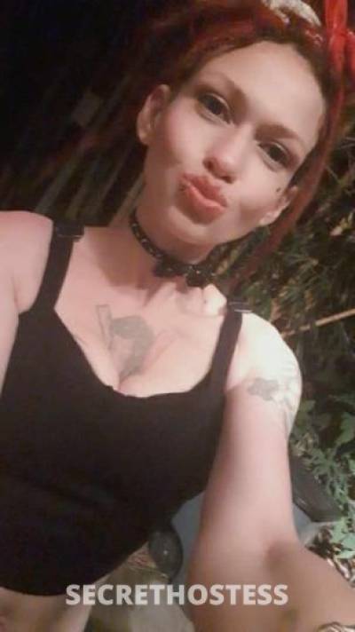 DaisySucks 24Yrs Old Escort Treasure Coast FL Image - 7