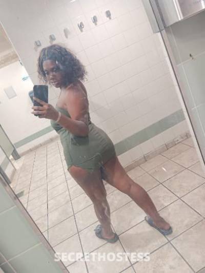 Diamond💎🍒 23Yrs Old Escort Birmingham AL Image - 1