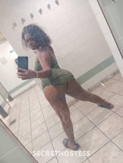 Diamond💎🍒 23Yrs Old Escort Birmingham AL Image - 6