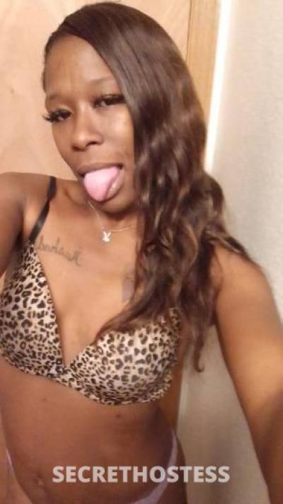 Dimples 31Yrs Old Escort Jacksonville FL Image - 0