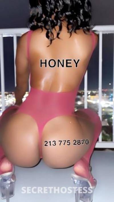 Honey 24Yrs Old Escort Los Angeles CA Image - 0