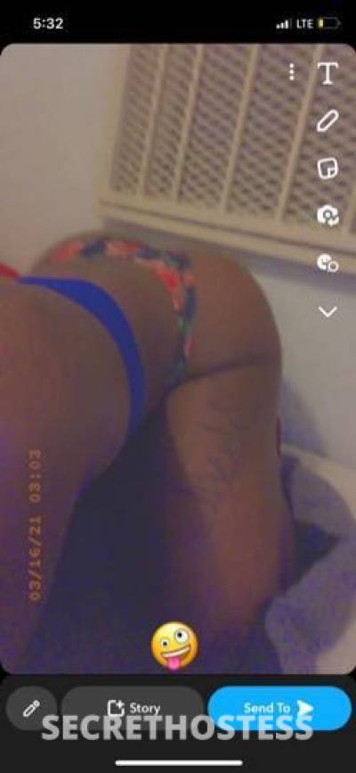 29 year old Escort in Miami FL come fuck me