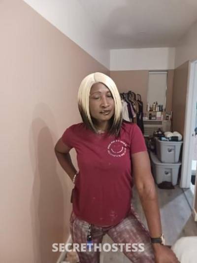 44 Year Old Escort Miami FL - Image 2