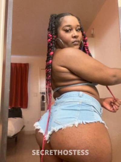 Rose🌹 23Yrs Old Escort Los Angeles CA Image - 2