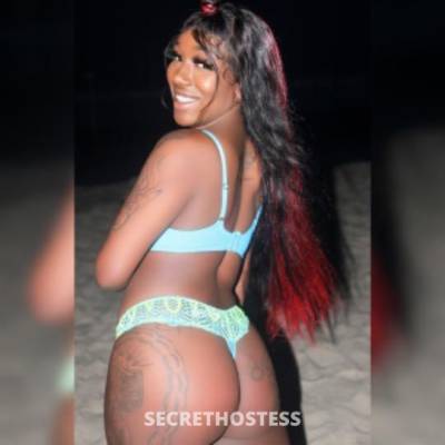 SUGAA 25Yrs Old Escort Manhattan NY Image - 4