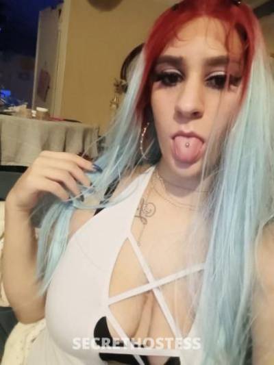 Sexilexi 22Yrs Old Escort Tampa FL Image - 2