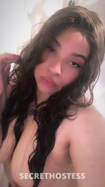 20 Year Old Dominican Escort San Diego CA - Image 4