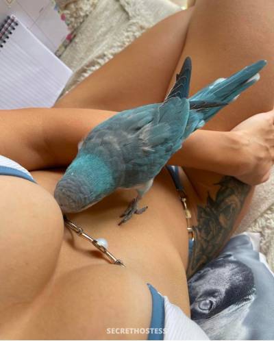 ENNA SHAW 24Yrs Old Escort Size 11 170CM Tall St. Louis MO Image - 2