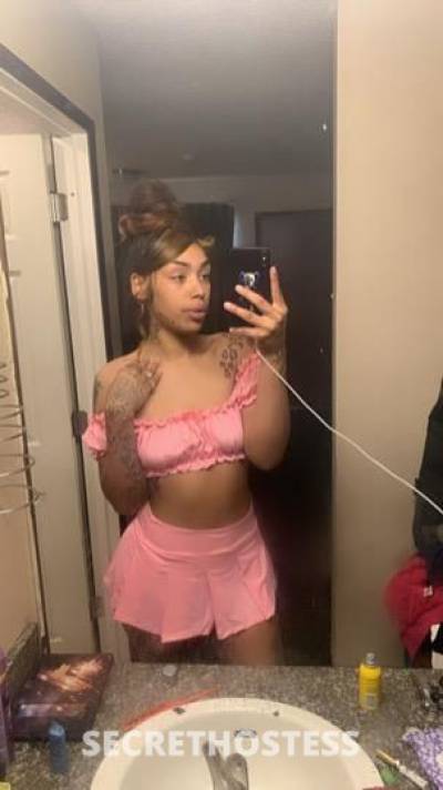 HoneyDior 21Yrs Old Escort Tacoma WA Image - 4