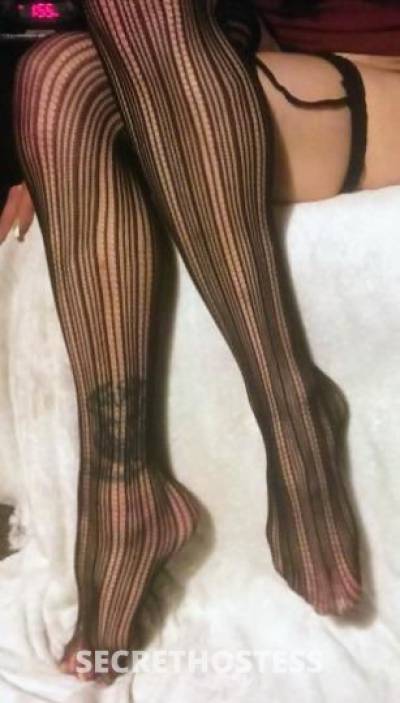 Feisty Fetish Fun - No Deposit Ever Required in Allentown PA