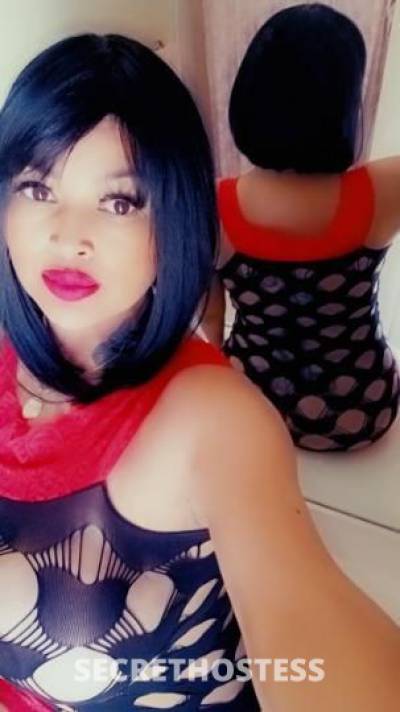 Lili 29Yrs Old Escort McAllen TX Image - 3