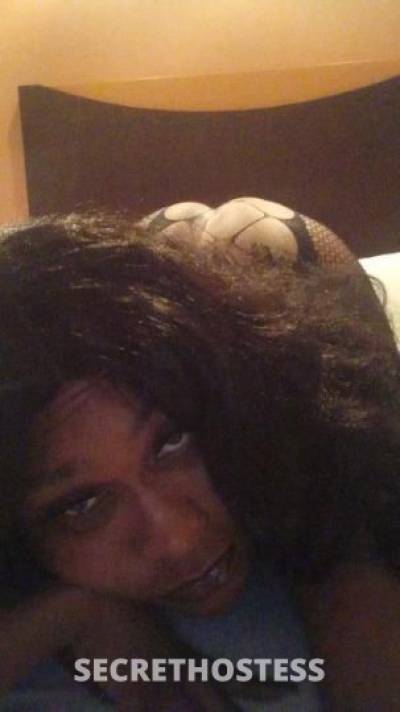 MISSRABBIT 32Yrs Old Escort Toledo OH Image - 10