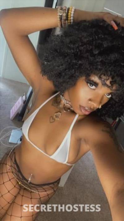 Nunu 21Yrs Old Escort San Antonio TX Image - 3