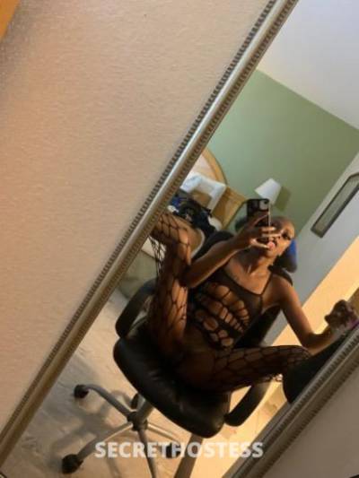 SkinnyGansta 23Yrs Old Escort Dallas TX Image - 5