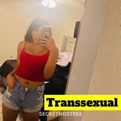 Sofiatranssexual 24Yrs Old Escort McAllen TX Image - 2