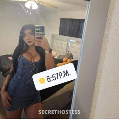 Sofiatranssexual 24Yrs Old Escort McAllen TX Image - 4