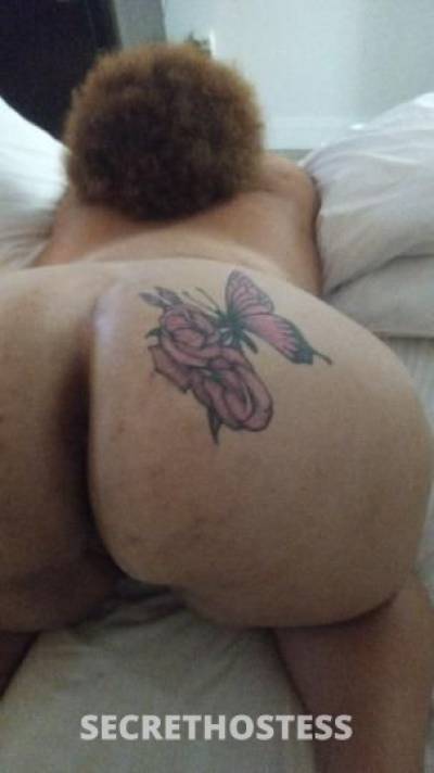 Sunflower🌻 21Yrs Old Escort Virginia Beach VA Image - 4