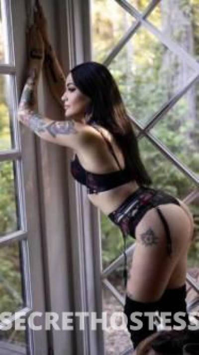 24Yrs Old Escort Size 8 160CM Tall Wollongong Image - 5