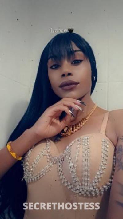24Yrs Old Escort Miami FL Image - 1