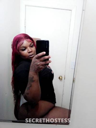 25Yrs Old Escort Chicago IL Image - 1