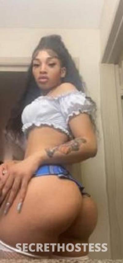 26Yrs Old Escort Raleigh NC Image - 1