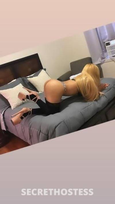 28Yrs Old Escort Bronx NY Image - 0