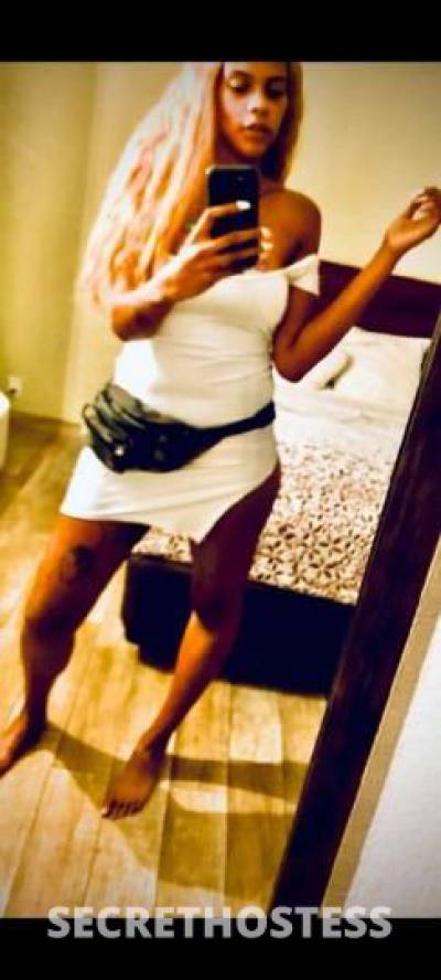 28Yrs Old Escort Tampa FL Image - 1